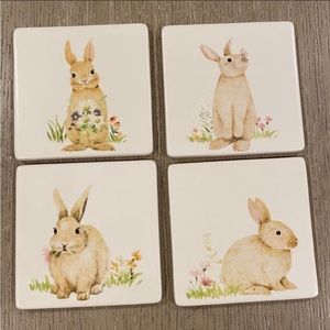Set of 4 Assorted Easter Bunnies Coasters